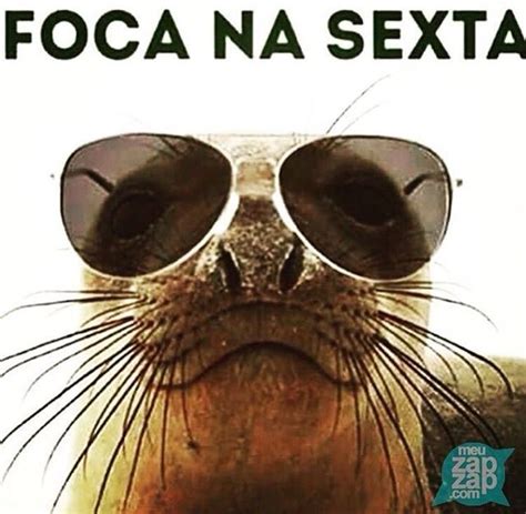 Que Hoje Sextasualinda Foca Flirting Quotes Funny Quotes Funny Memes Flirting