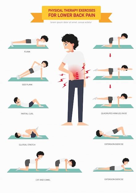 Premium Vector Physical Therapy Exercises For Lower Back Pain
