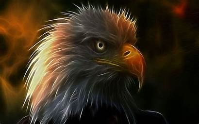 Eagle Fire Wallpapers Eagles Desktop Backgrounds Bald