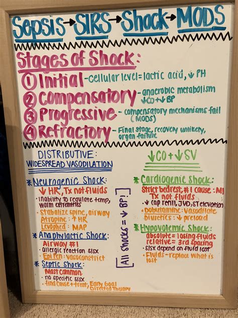 Shock Nursing Stages Classifications Nursing School Notes
