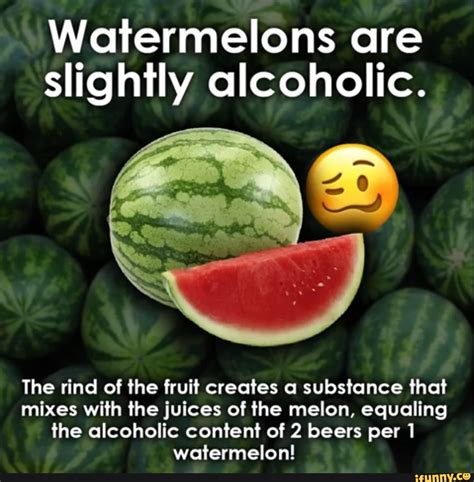Watermelons Are Slightly Alcoholic The Rind Of The Fruit Creates A Substance That Mixes With