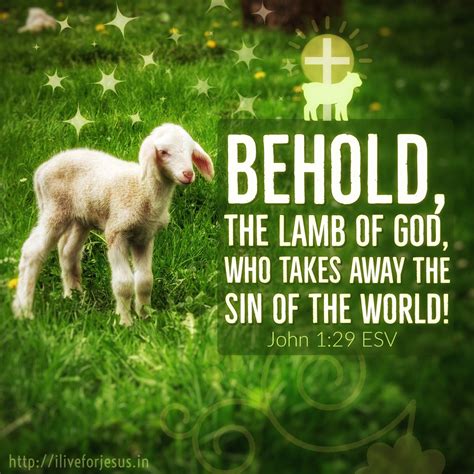 Lamb Of God I Live For Jesus