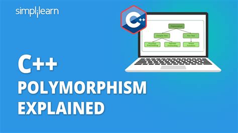 C Polymorphism Explained C Polymorphism Tutorial C