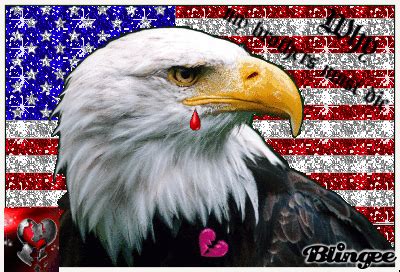 We did not find results for: It's Not July 4th Without Super Patriotic Bald Eagle Gifs ...
