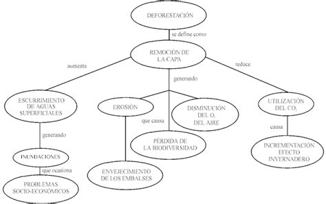 Mapa Conceptual Deforestacion Pdf Porn Sex Picture