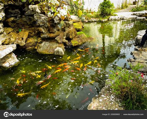 Beautiful Pond Park — Stock Photo © Imaginechina Tuchong 283659900