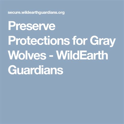 Preserve Protections For Gray Wolves Wildearth Guardians