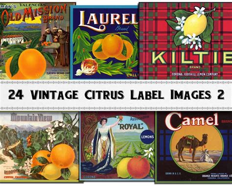 24 High Resolution Citrus Label Images Set 2 Victorian Etsy