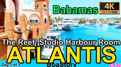 Atlantis Bahamas The Reef Studio Harbour Room Tour Day 1 Youtube