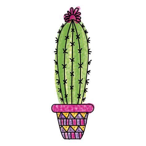 Prickly Cactus Plant Vector Png Clipart Png Mart