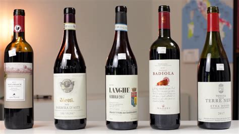 Jancis thanks to online course marketplace udemy, beginners can learn the basics of wine through robinson's wset's level 1 award is an excellent option for beginners but can be skipped for those who already. The Five Best Italian Red Wines Beginners Must Try | Wine ...