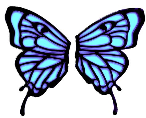 Butterfly Wing Wallpapers High Quality Download Free