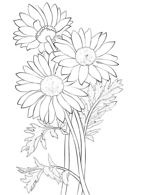 Butterflies symbolize freedom and free spiritedness in popular cultures. Flower Coloring Daisy - K5 Worksheets