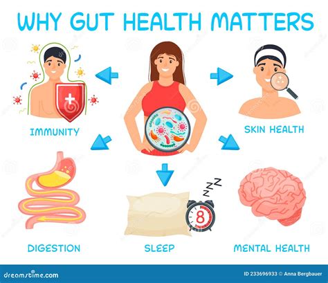 Why Gut Health Matters Landscape Poster Medical Infographic Stock