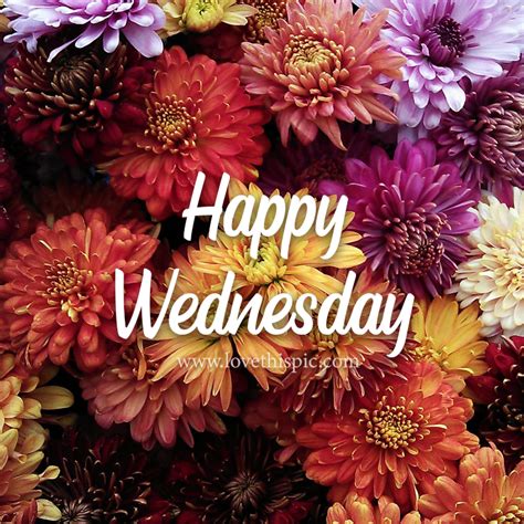 Assorted Bunch Of Flowers Happy Wednesday Pictures Photos And
