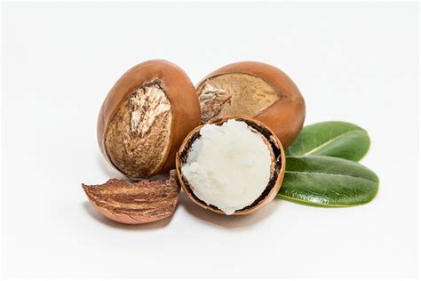 Organic Shea Butter How To Use It For Your Skin