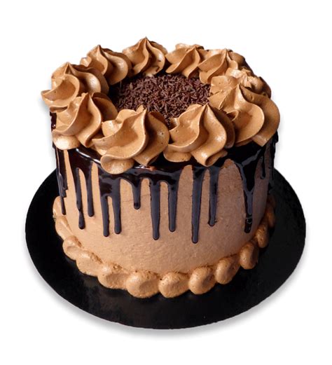 Layer Cake Chocolat Nutella Chocolate Cake Designs Chocolate Cakes Pretty Birthday Cakes
