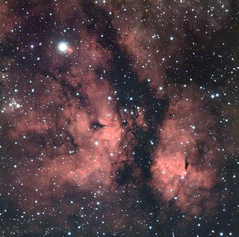 Ngc6910 Region Um Sadr Astronomiede Der Treffpunkt Für Astronomie