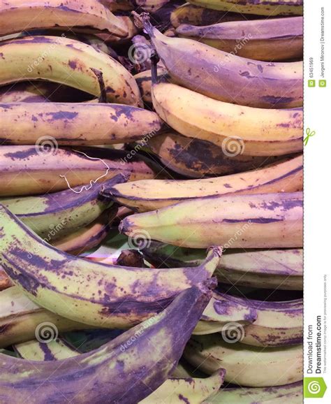 Stack Of Green Fresh Bananas Stock Image Image Of Organic Delicious