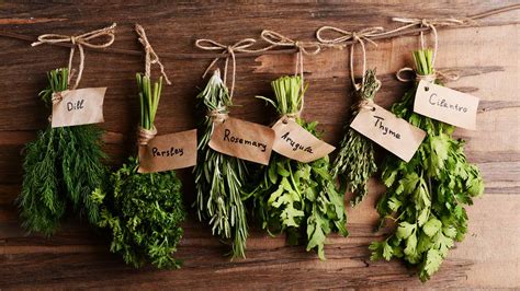 7 Easy To Grow Herbs In Your Apartment