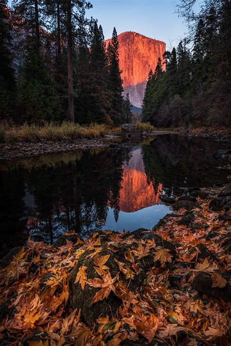 El Capitan At Sunset In Yosemite Valley Yosemite Sunset Sunrise