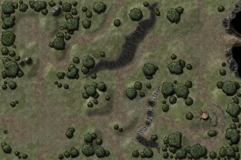 Wilderness Battle Map Fantasy City Map