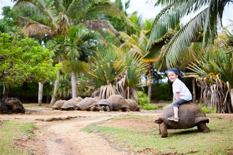 My bosses asked me why her mouth is open, it doesn't look beautiful. Top 50 Ultimate Kid Travel Experiences - Best Family Trips