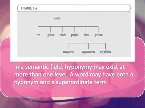 Semantic Relations Among Words