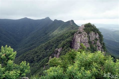 국립공원 산불예방을 위한 탐방로 통제기간은 2월 1일부터 5월 15일까지 입니다. 내장산 국립공원 명칭 변경 추진 논란 - 노컷뉴스