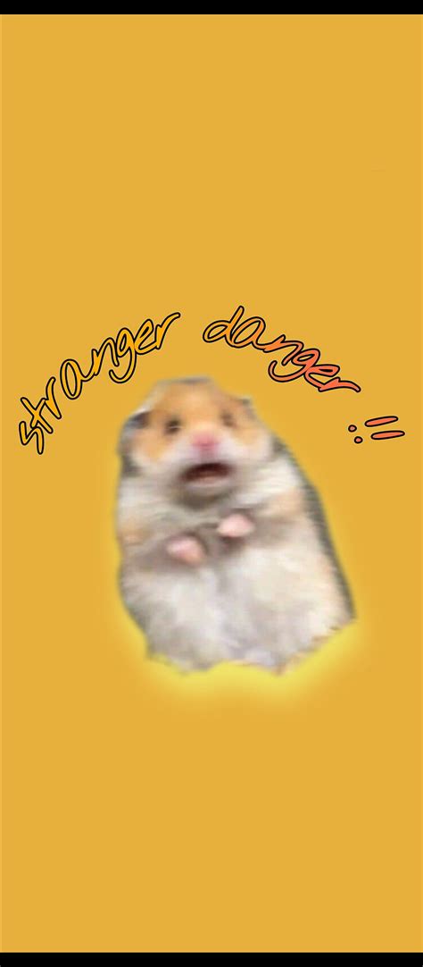 Hamster Meme Funny Hd Phone Wallpaper Pxfuel