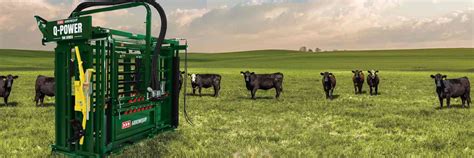 Cattle Chute Q Power 106 Hydraulic Squeeze Chute Arrowquip