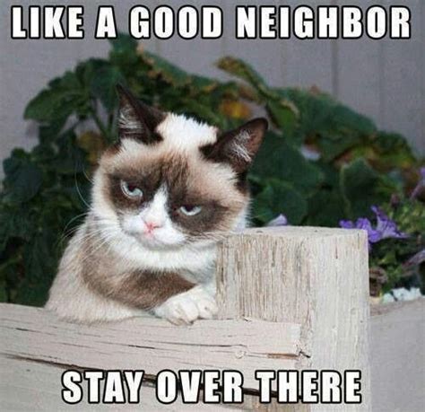 Funny Quotes About Good Neighbors Quotesgram