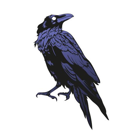 Crow Vector Illustration Black Horror Raven 3256853 Vector Art At Vecteezy