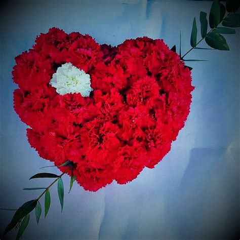 Heart Of Red Carnation Online Flowers Delivery Georgia Florists In