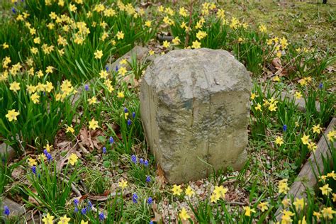 boundary stones the quest to save dc s 1st federal monuments wtop news