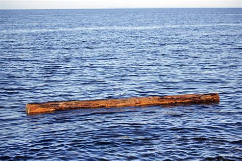 1200 Log Floating In Water Stock Photos Pictures And Royalty Free