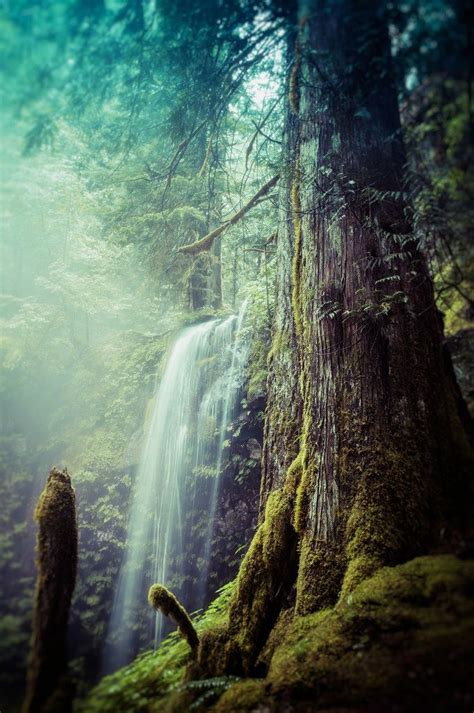 Panther Creek Falls Landscape Trees Fantasy Landscape Scenic