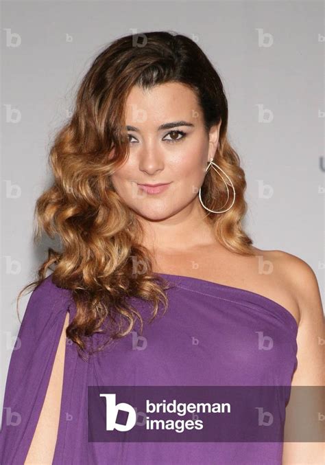 Cote De Pablo At Arrivals For 14th Annual Latin Grammy Awards