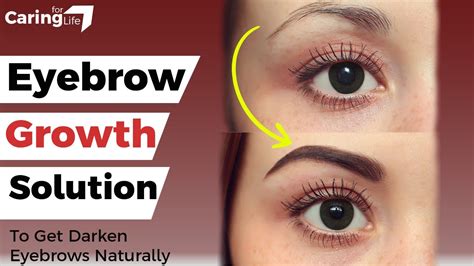 How To Grow Long Eyebrows Naturally Longer And Denser Eyebrows Grow Your Eyebrows Super Fast