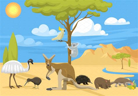 Cartoon Australia Continent Animals Animal Illustrations ~ Creative