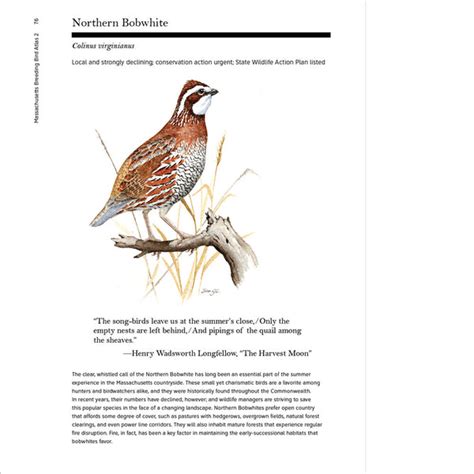 The Massachusetts Breeding Bird Atlas 2 Scott And Nix