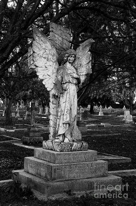 Angel Keeping Watch Photograph By Vivian Christopher Fine Art America