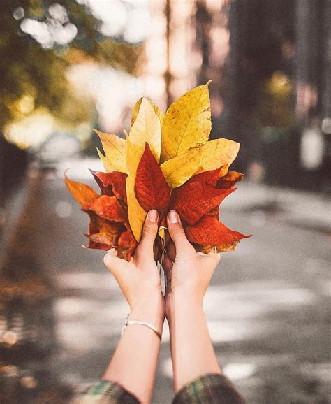 See This Instagram Photo By Tezzamb 2106 Likes Autumn Photography