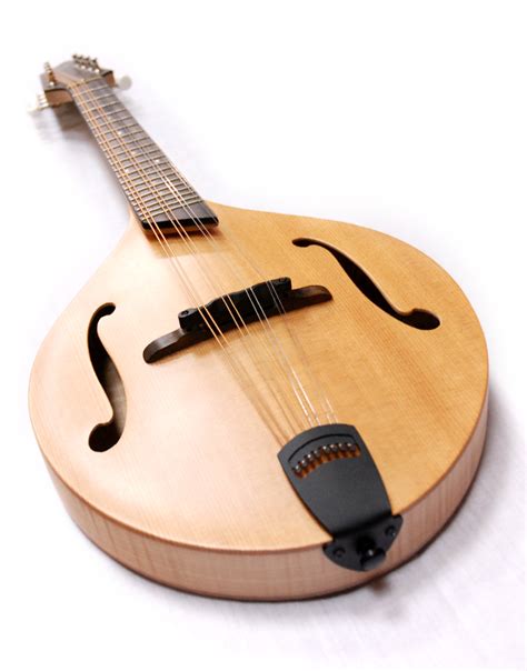 Breedlove American Series Of Mandolin Stringed Folk Instruments