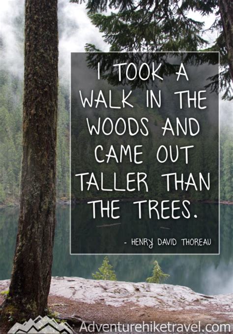 10 Inspiring Hiking Quotes To Get You Outdoors I Took A Walk In The