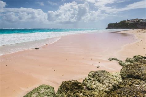 The Most Gorgeous Pink Sand Beaches In The World Reader