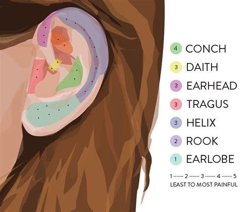 Ear Piercing Guide Second Ear Piercing Double Ear Piercings Ear