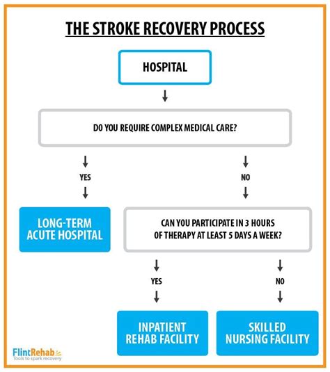 Stroke Recovery Process What To Anticipate On The Road To Recovery