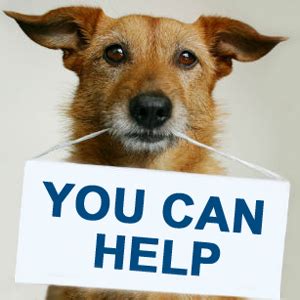 You might need to make a copy of an important document for a number of reasons, such as for a tax return, in a loan application, to sell a home, or to mail to your. FLASh