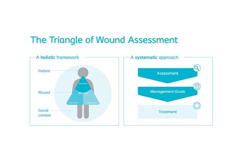 Understanding Wound Assessment And Management